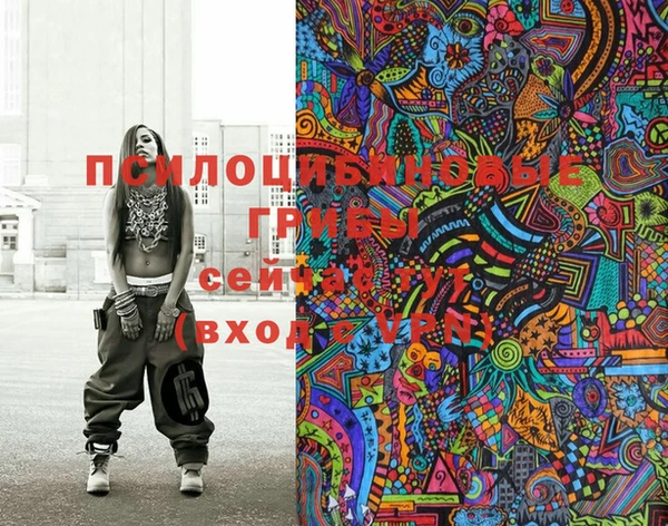 ECSTASY Белокуриха