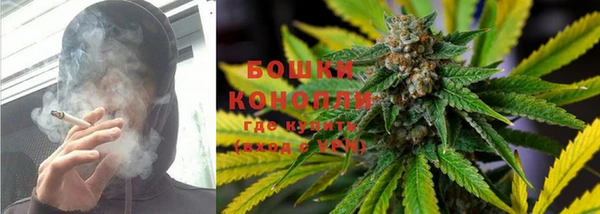 ECSTASY Белокуриха